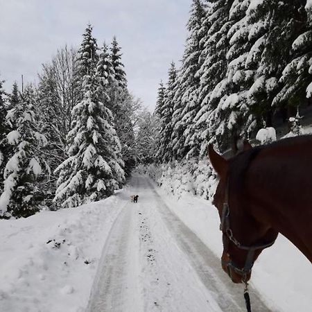 Вилла Statek U Rajmunda Zemedelska Farma Вельке-Карловице Экстерьер фото